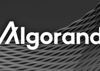 Staci Warden Has Been Named The New CEO of The Algorand Foundation