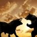 Bitcoin Price Analysis