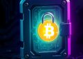 Bitcoin hardware wallet with security lock