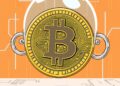 Bitcoin privacy cryptography with separate viewing and spending keys